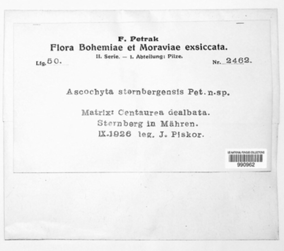Ascochyta sternbergensis image